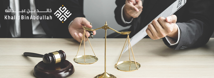 أحدث شرح لـ نظرية الامير في القانون الاداري لسنة 2025